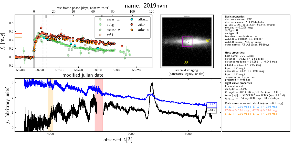 The “summary plot” for the Type II supernova 2019nvm.