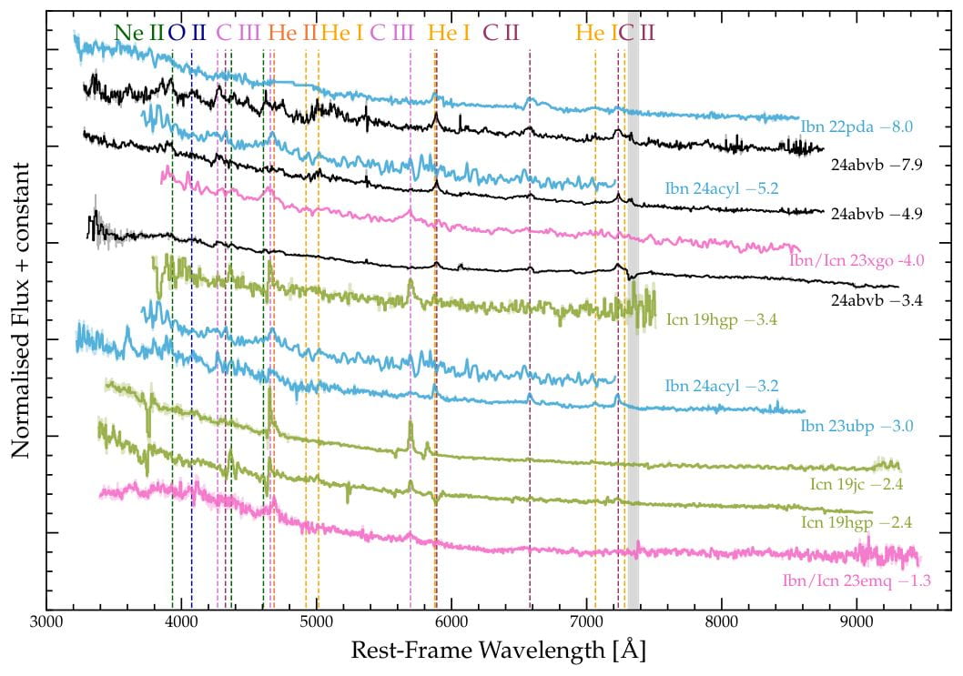 Pre-maximum spectroscopic evolution of 2024abvb (black) compared to other SNe Ibn and Icn.