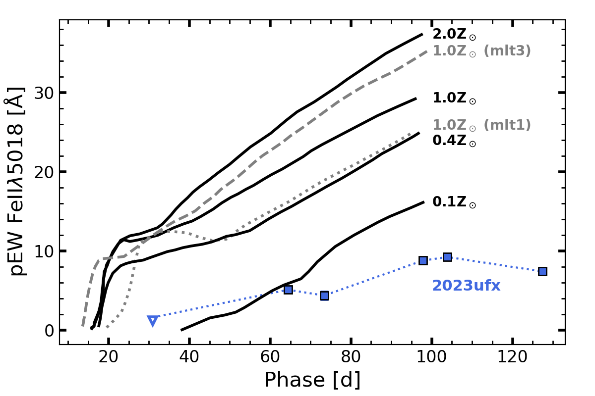 The depth of the metallicity-dependent FeII absorption line in SN2023ufx (blue) compared to theoretical spectra (gray).
