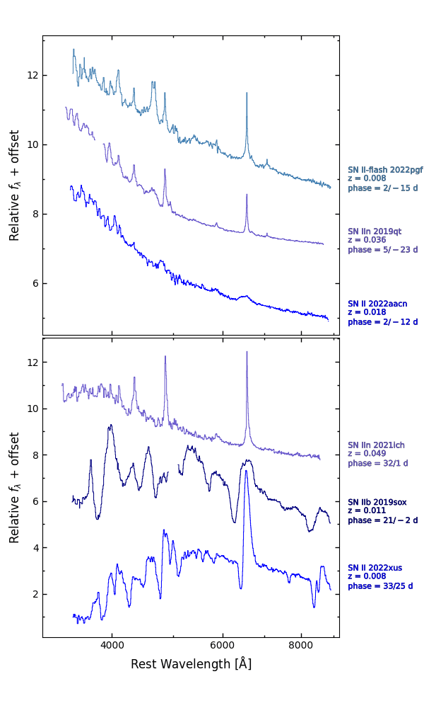 Example spectra of H-rich Type II supernovae (SNe II)
